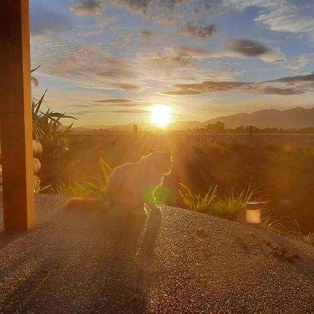 Brook House B&B & Cottages Kaikoura Extérieur photo
