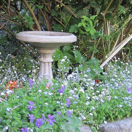 Brook House B&B & Cottages Kaikoura Extérieur photo