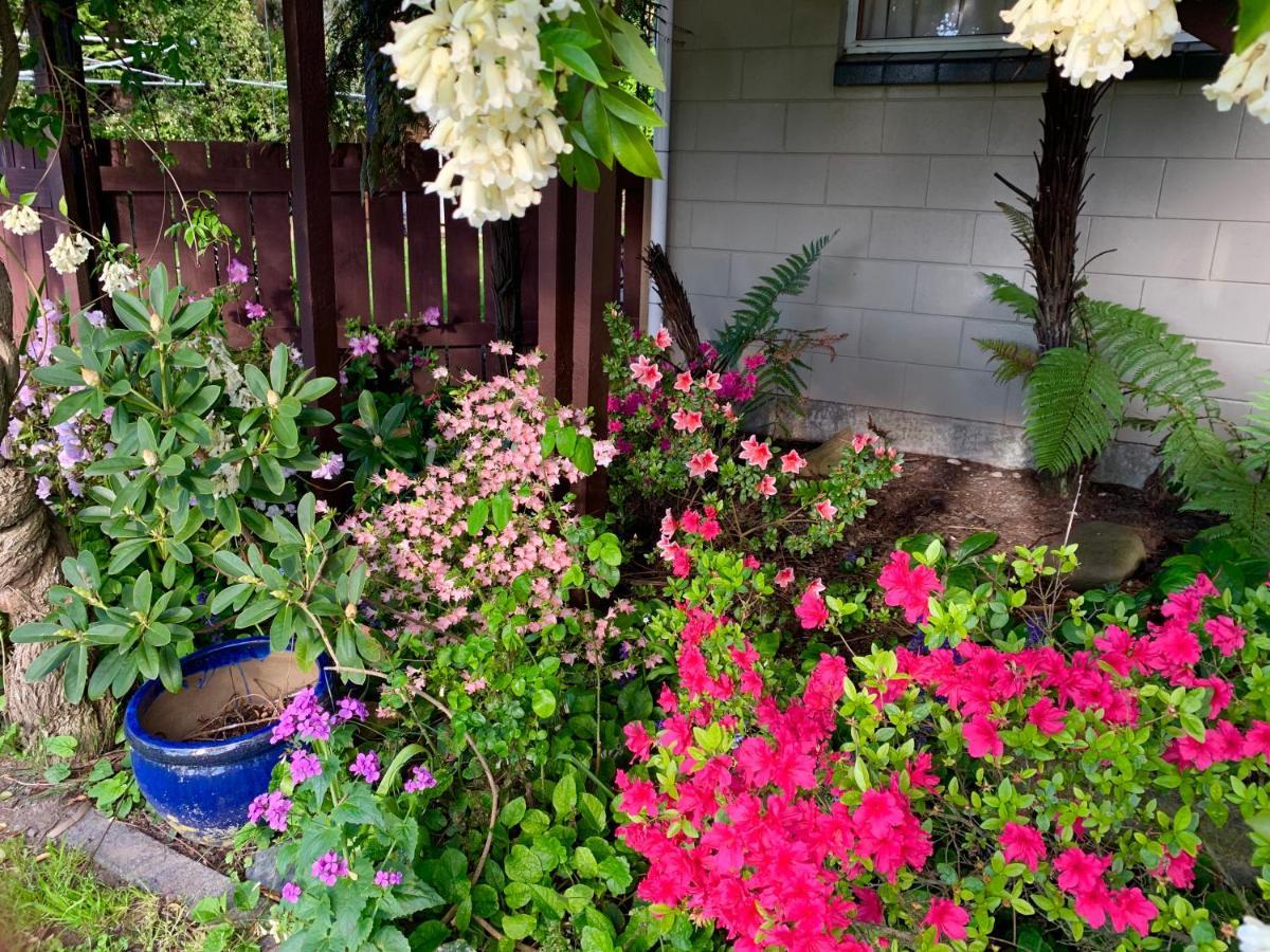 Brook House B&B & Cottages Kaikoura Extérieur photo