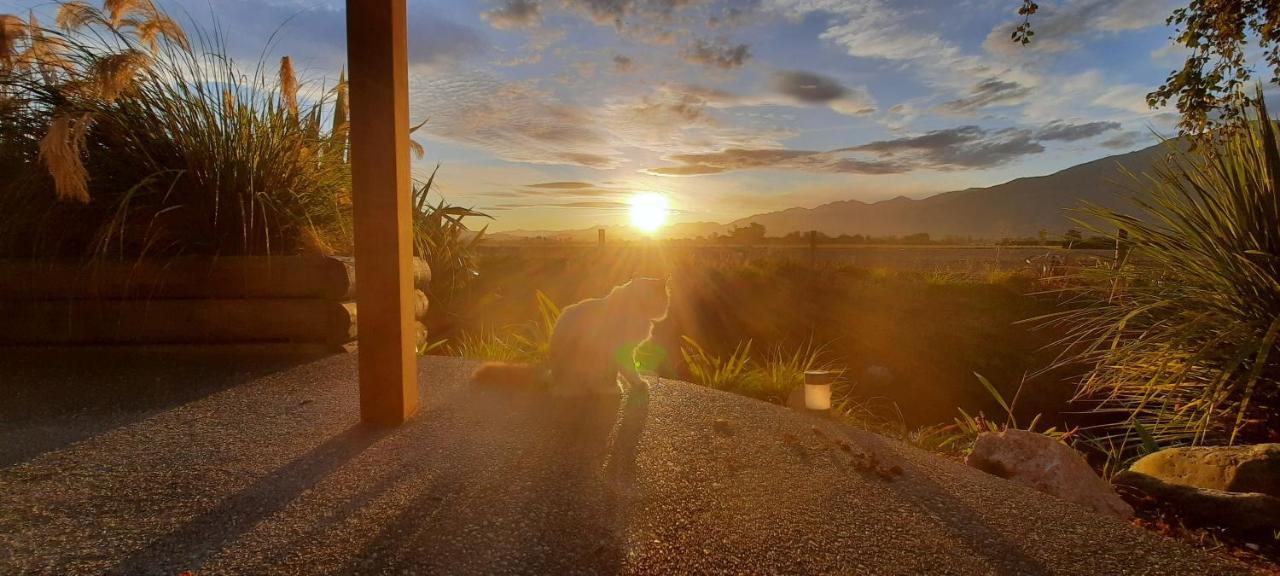 Brook House B&B & Cottages Kaikoura Extérieur photo