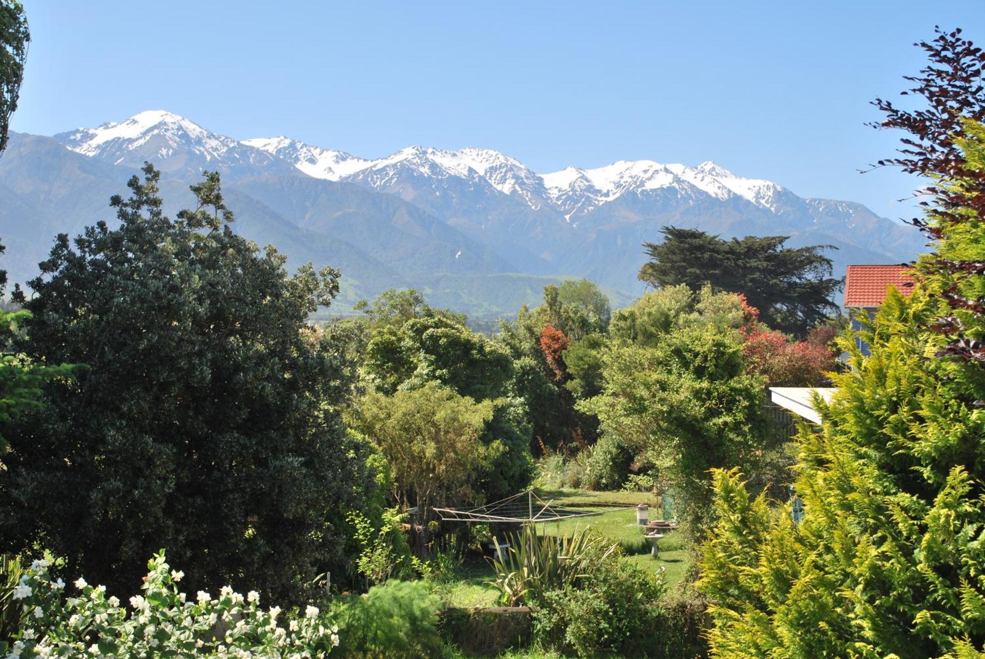 Brook House B&B & Cottages Kaikoura Extérieur photo
