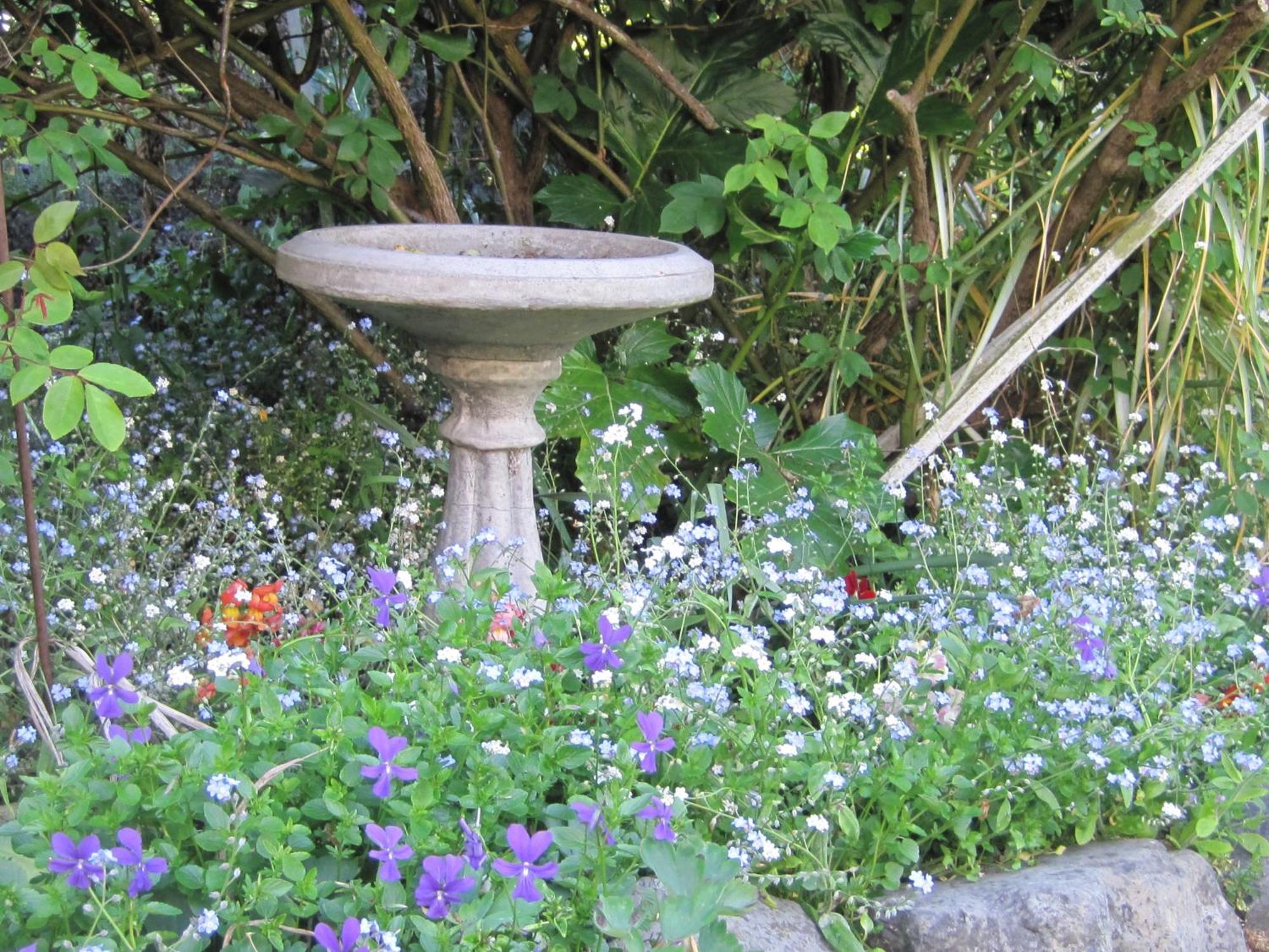Brook House B&B & Cottages Kaikoura Extérieur photo